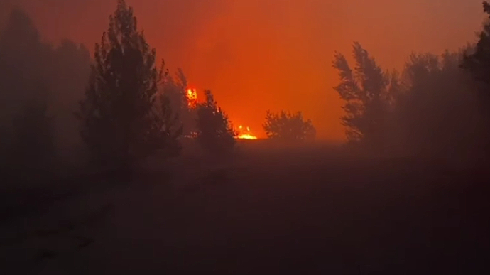 На Київщині приборкують лісову пожежу: горить 45 га трави, врятовано жінку