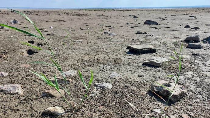 Some villages of occupied left bank of Kherson Oblast are now deserted