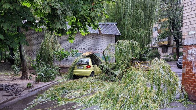 После ливня в Киеве попадали деревья на машины