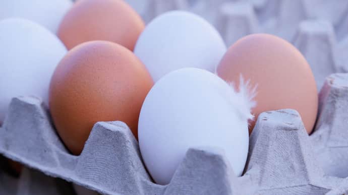 ЄС відновив мита на яйця і цукор з України 