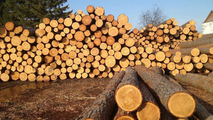 Кабмин предлагает, как выполнить решение арбитража ЕС о лесе-кругляке