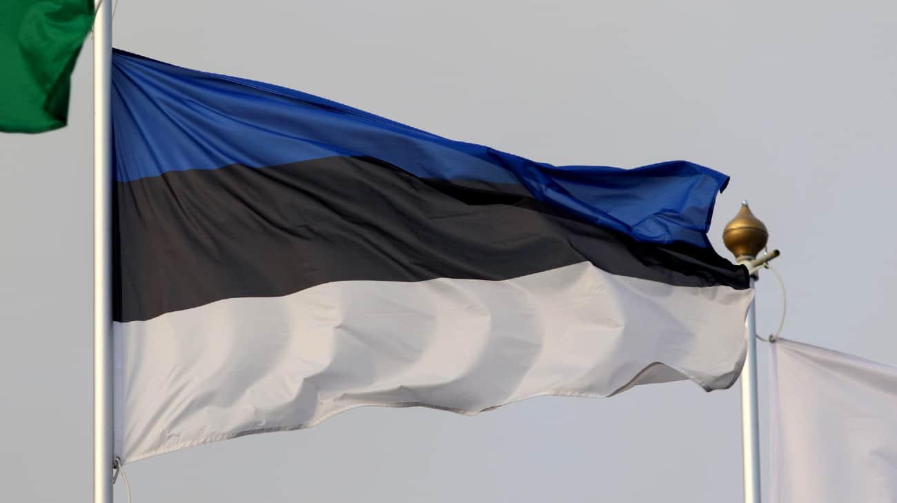 Estonian foreign minister calls Slovakia's threats against Ukraine unacceptable