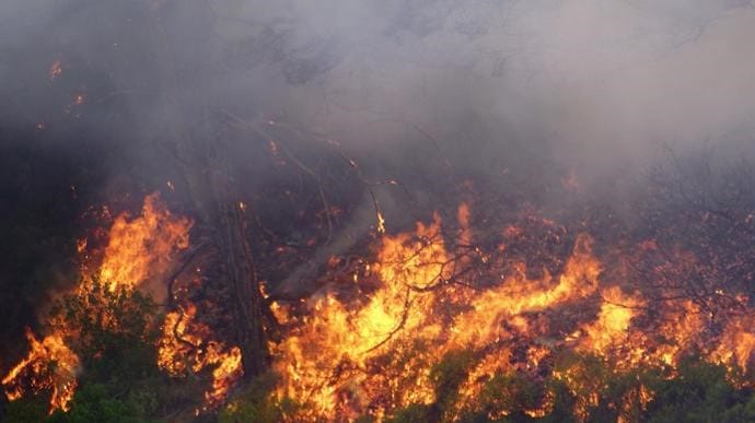 На Кипре бушует масштабный лесной пожар, страна просит помощи