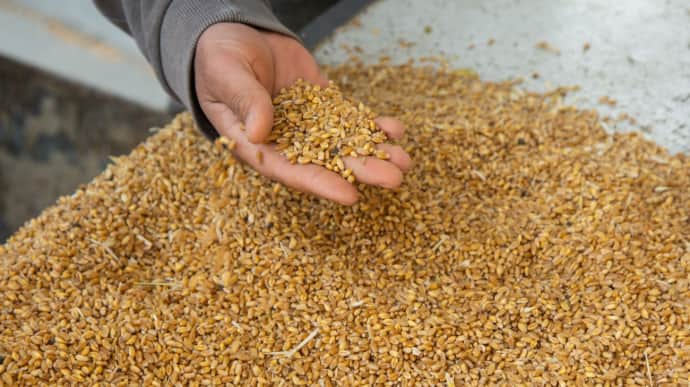 Lithuanian farmers say they have problems with Russian grain, not Ukrainian