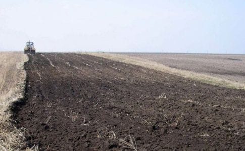 За отмену моратория на продажу земли более трети украинцев – опрос