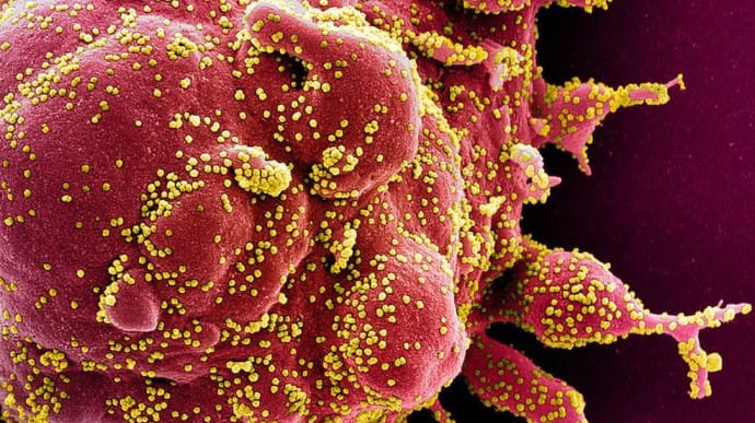 Британский штамм коронавируса обнаружили в 22 странах Европы - ВОЗ