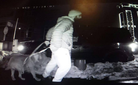Появилось видео убийства на Печерске: ударил боксер, умер сотрудник УГО 