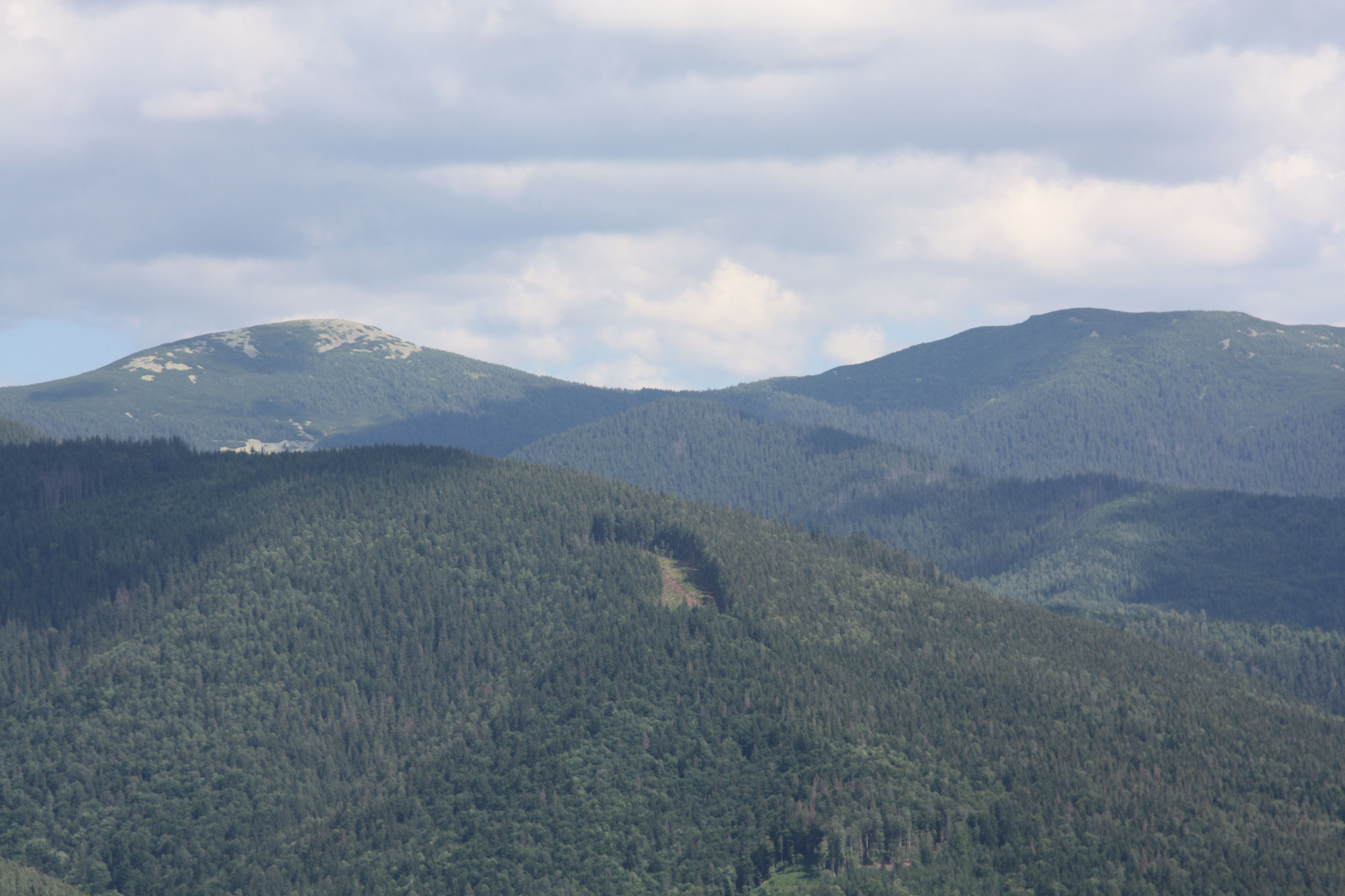 Посередині фото можна бачити вирубку. А на вершині ліворуч ліс не росте через цілком природні причини. Адже вершина та схили гори вкриті щільним шаром каміння. Це типова картина для цього регіону українських карпат, що зветься Ґорґа́нами