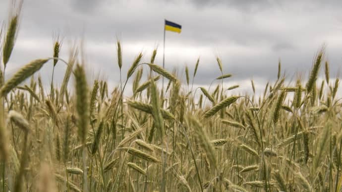 Ukraine's wheat exports to hit 10-year low this year – US Department of Agriculture