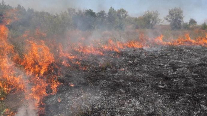 Через підпал сухої трави на Львівщині згоріли 3 автобуси 