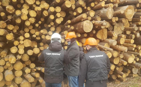 Радіоактивну деревину могли спалювати на Київщині – поліція перевіряє