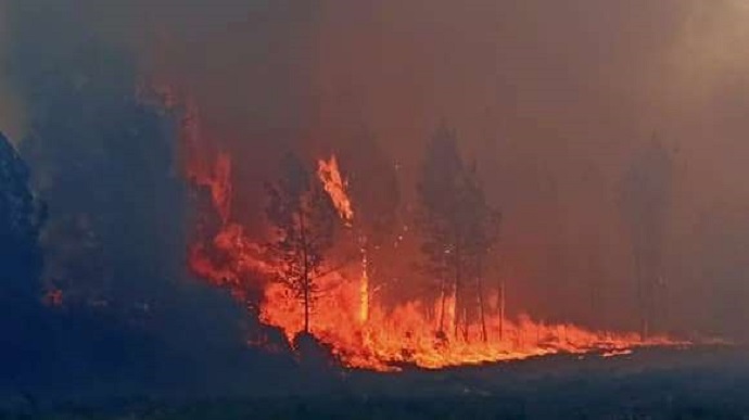 Францію охопили лісові пожежі, вигоріло 600 га