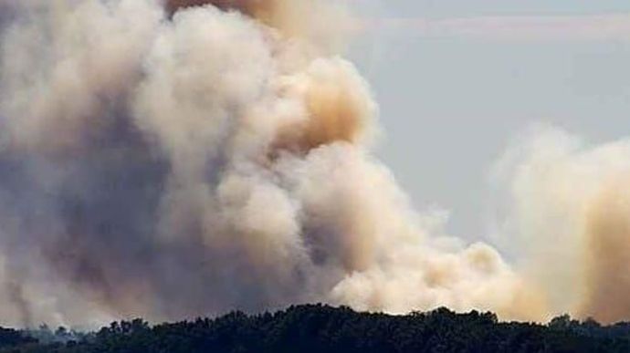 В Сумской области горит лес из-за обстрелов россиян – глава ОВА