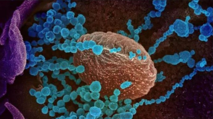 Мутований штам коронавірусу набагато заразніший – британські вчені