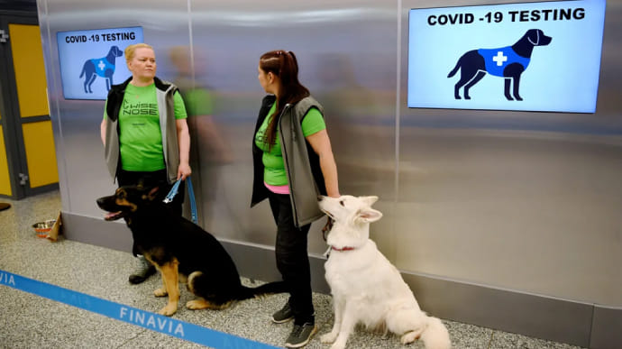 У МВС можуть залучити собак-нюхачів для виявлення хворих на COVID-19