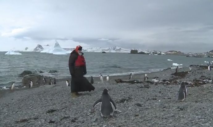 Патріарх Кирило й пінгвіни