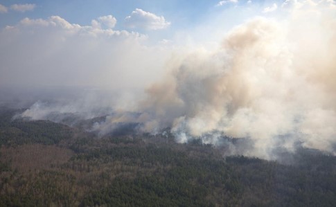 Пожежі на Житомирщині: в регіон виїхала група поліції, підозрюють підпал