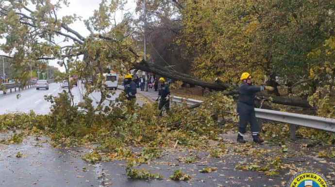 У Києві пошкоджено чи повалено майже 600 дерев, рух транспорту ускладнено