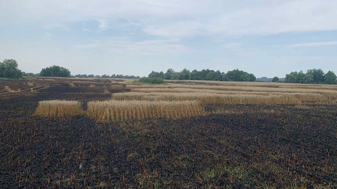 Обстріли Сумщини: ворог знищив поле пшениці і пошкодив будинки