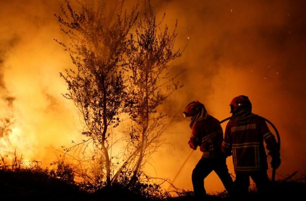 Пожары в Португалии и Испании: 39 погибших
