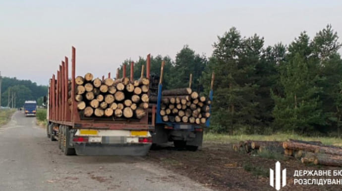 ГБР разоблачило преступную схему продажи древесины, сгоревшей на пожарах Луганщины