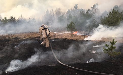 На Житомирщині не могли погасити пожежу 10 днів