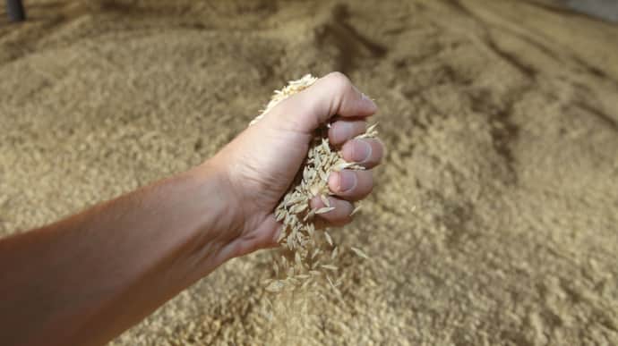 470,000 hectares of Ukraine sown with grain