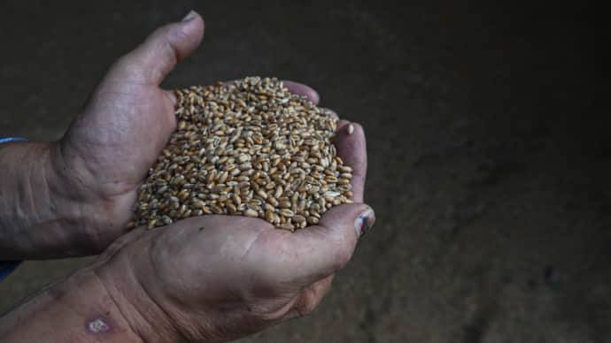 Moldova provides big discount on transit of Ukrainian grain until end of year