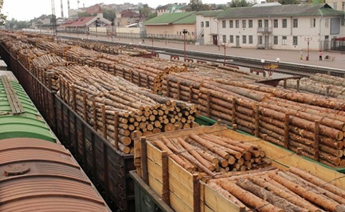 Украина экспортирует в ЕС незаконную древесину для поставщиков Ikea и H&M - исследователи