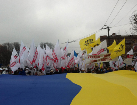 Акция Вставай, Украина! в Житомире. Фото пресс-службы Батькивщины