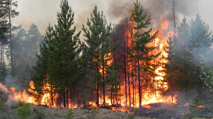 Двоє людей загинули внаслідок обстрілів на Харківщині: зруйновані будинки, палали ліси