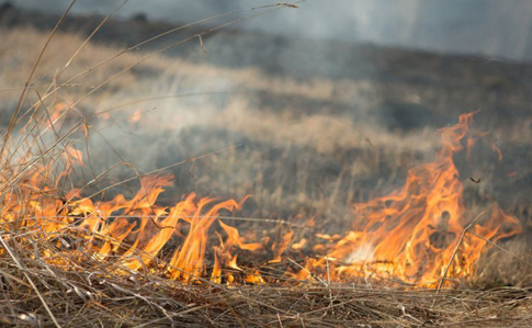 Найвища пожежна небезпека: синоптики назвали найгарячіші регіони 