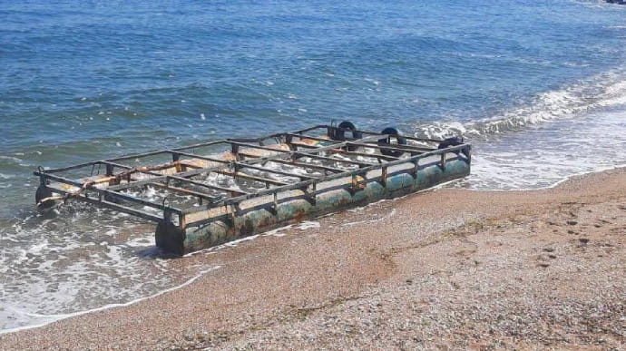 Море перетворюється на смітник та кладовище тварин – ДПСУ про наслідки підриву ГЕС