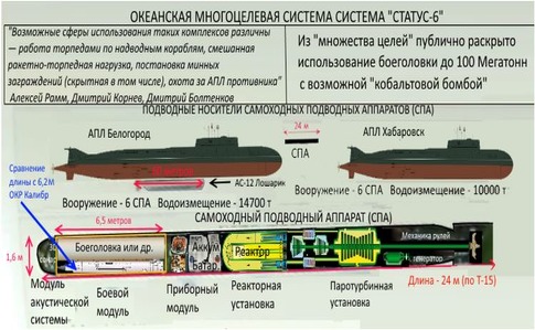Пентагон визнає реальність автономної ядерної торпеди РФ – ЗМІ