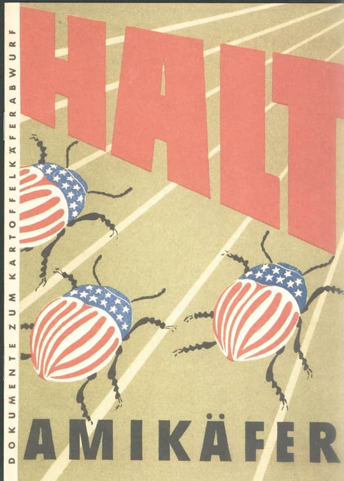 В Східній Німеччині колорадських жуків на пропагандистських плакатах зображували з червоними смугами та зірками, як на американському прапорі