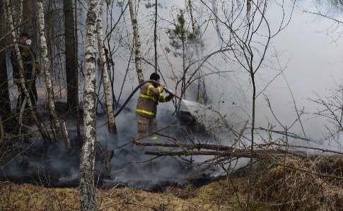 Пожежі на Житомирщині гасять більше тисячі осіб