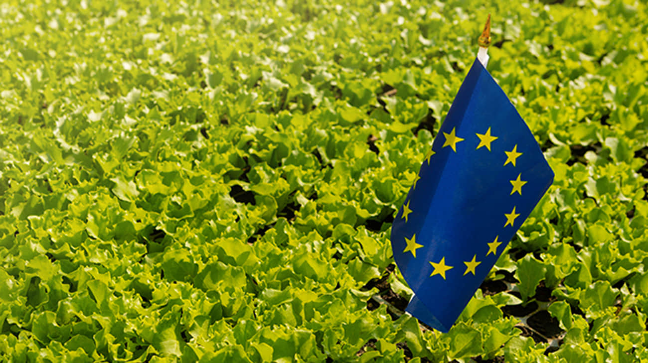 The EU is going to impose increased import duties from Ukraine- FT