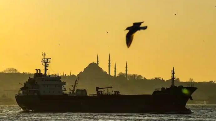 Туреччина затвердила плани розвитку нового Стамбульського каналу