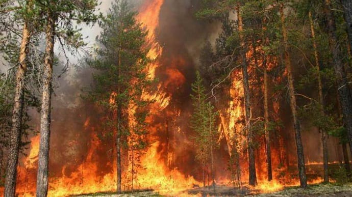 В России горит почти 820 тысяч га лесов