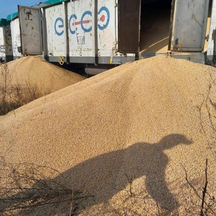 новый случай повреждения зерна, фото: Министерство развития общин, территорий и инфраструктуры Украины