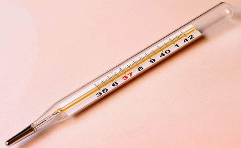 Депутатам будут измерять температуру на входе в Раду