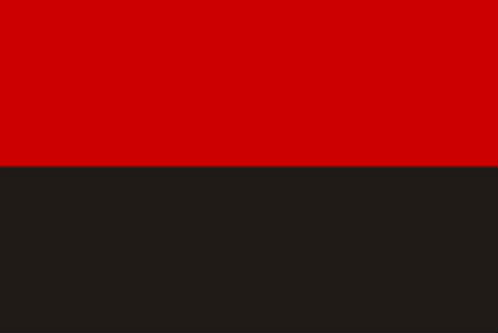 Прапор бандерівської ОУН (революційної)