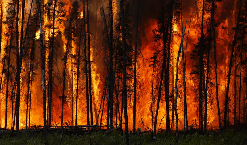 Експериментальна лісова пожежа в Канаді
