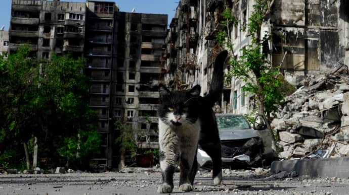 Российские власти на оккупированных территориях хотят изъять более 13 тысяч бесхозных квартир и домов