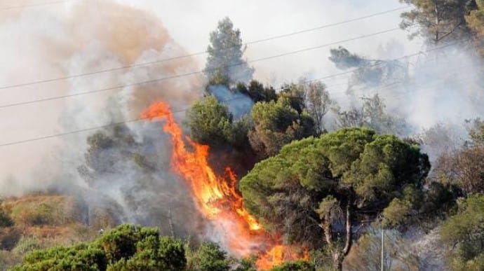 В Іспанії пожежа знищила 400 га природного парку