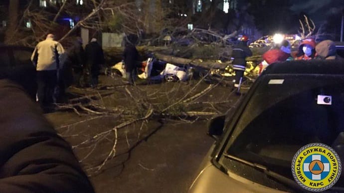 В Киеве сильный ветер повалил дерево на автомобиль, есть пострадавшие