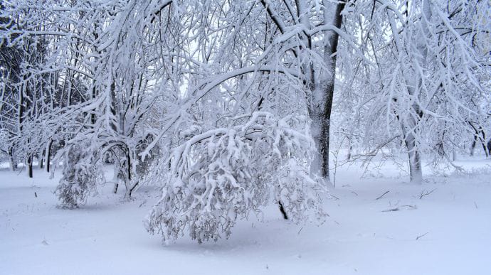 Снігопади триватимуть до вечора суботи, на Львівщині випало вже 90 см снігу