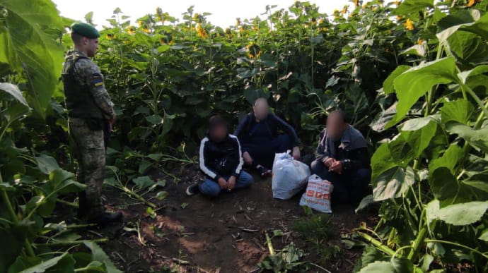 Пограничники обнаружили криминальных авторитетов в подсолнухах на границе с РФ