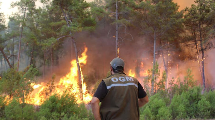 В Турции заявляют, что взяли под контроль большинство из 98 очагов пожаров