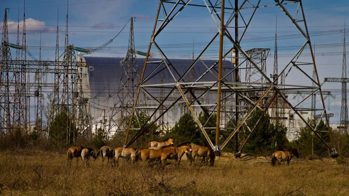 Пожаров в Чернобыльской зоне сейчас нет – ГСЧС 